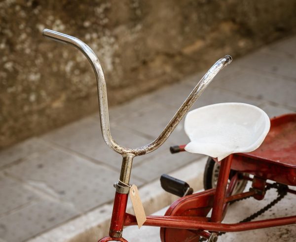 Triciclo con carrello - immagine 2
