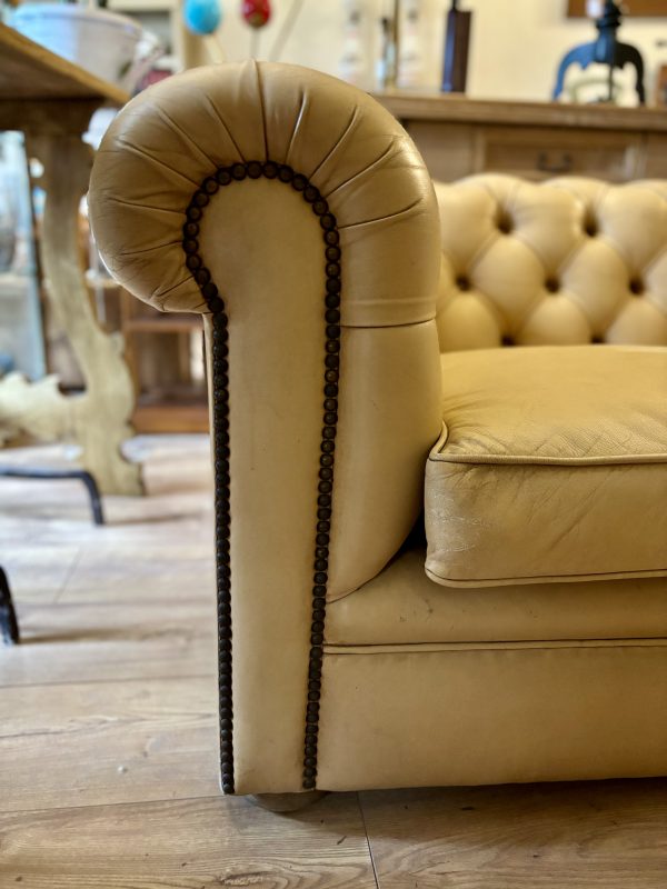 Divano Chesterfield - immagine 2