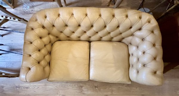 Divano Chesterfield - immagine 4