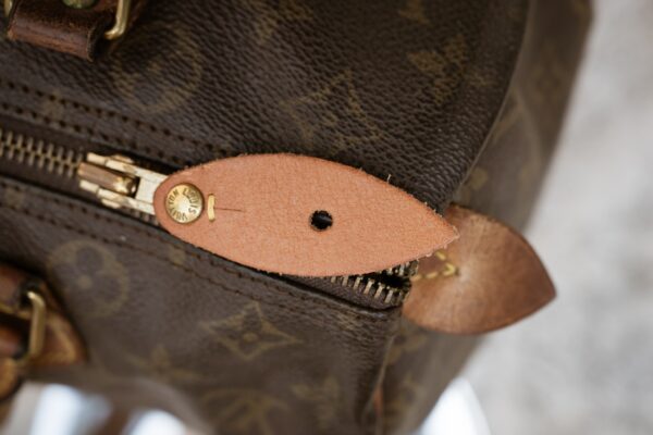 Borsa Louis Vuitton Speedy 30 - immagine 3