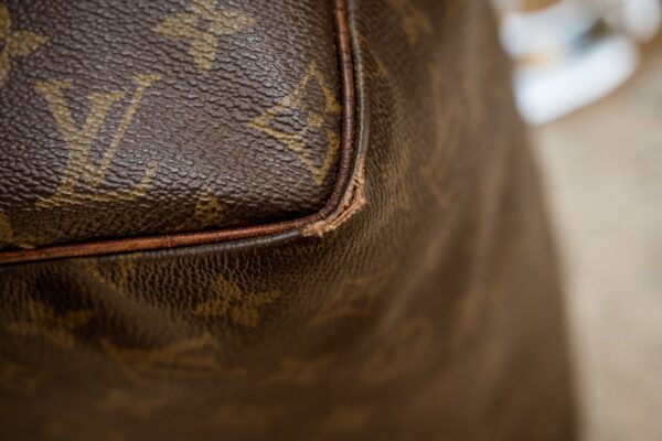 Borsa Louis Vuitton Speedy 30 - immagine 5