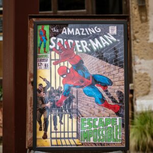 Spiderman stampa su tela