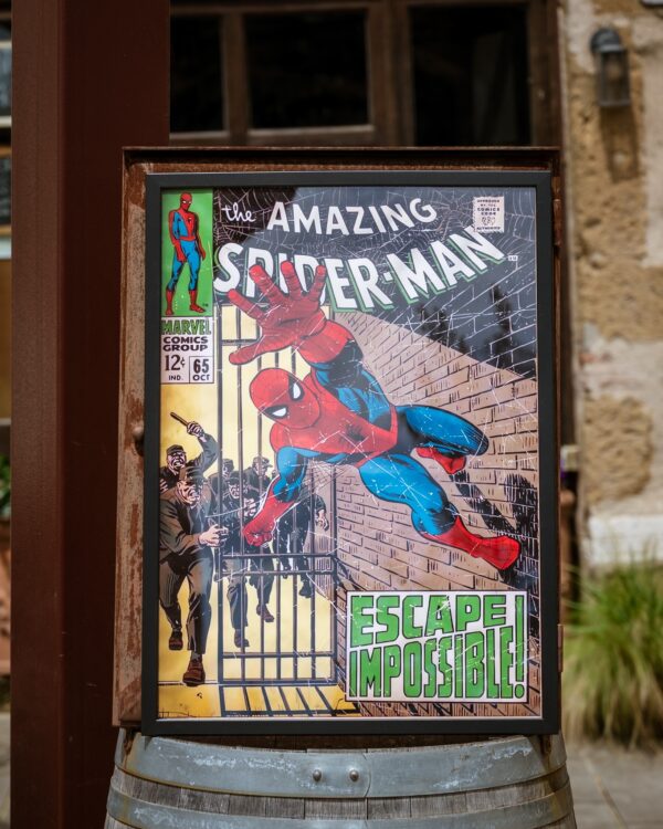 Spiderman stampa su tela